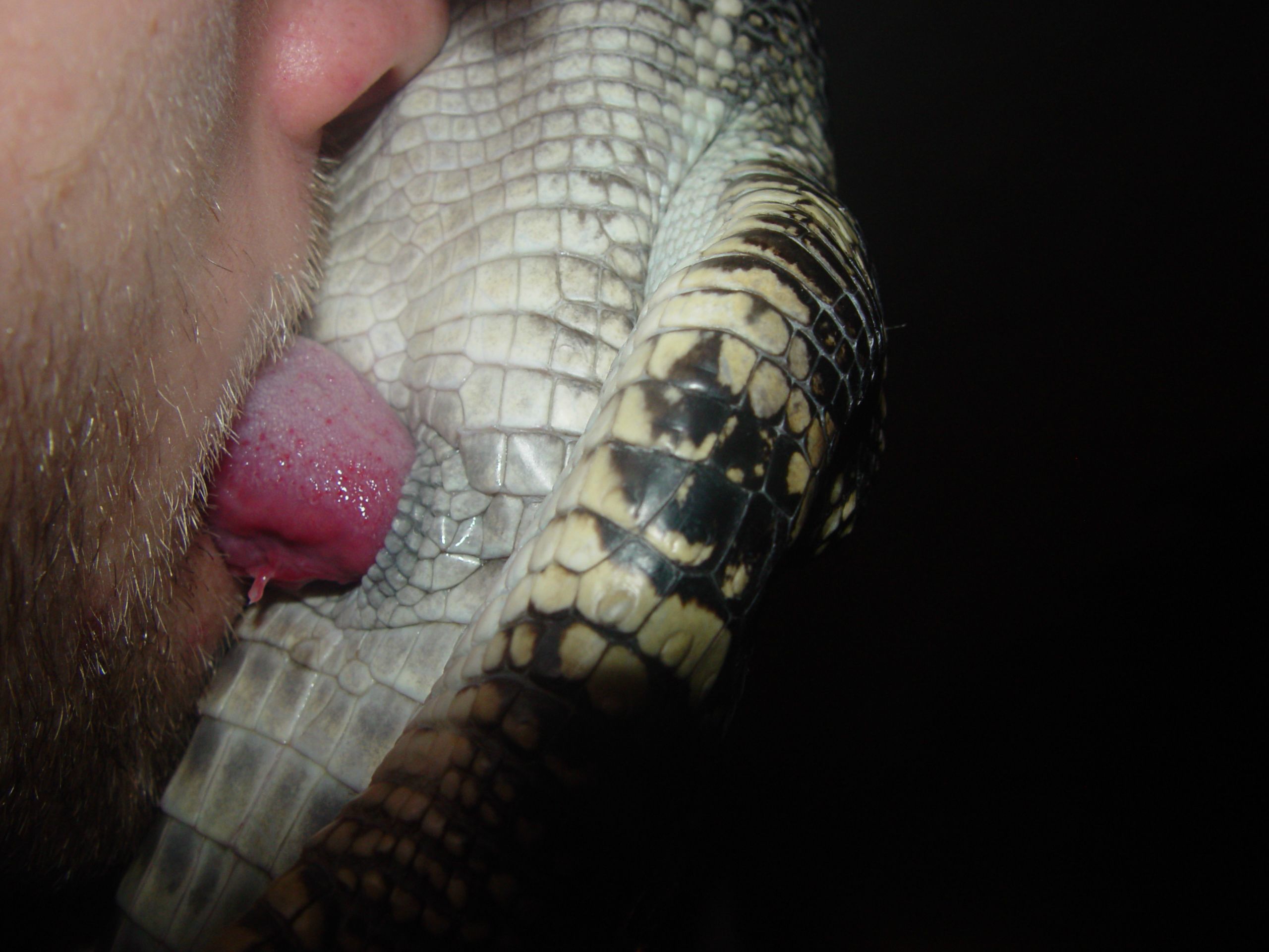Videos of having sex with snake