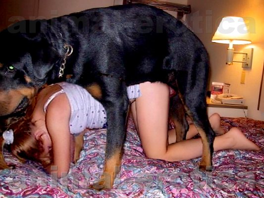 Dog Gets Girl TubeZZZ Porn Photos