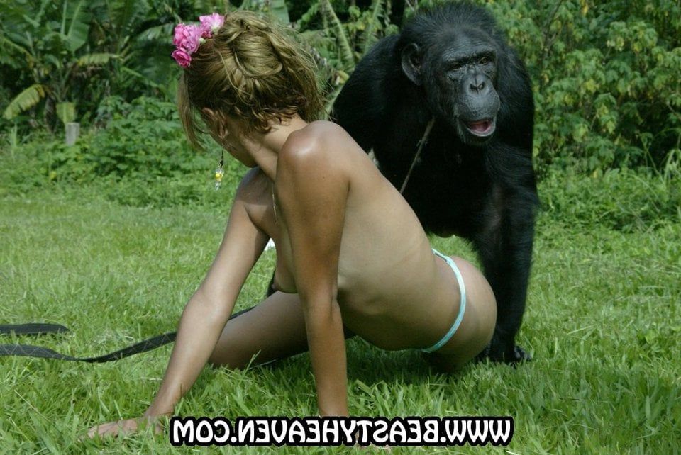 man fuck female monkey