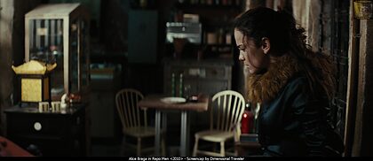 Alice Braga nude photo #21