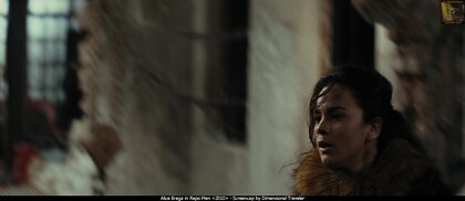 Alice Braga nude photo #29