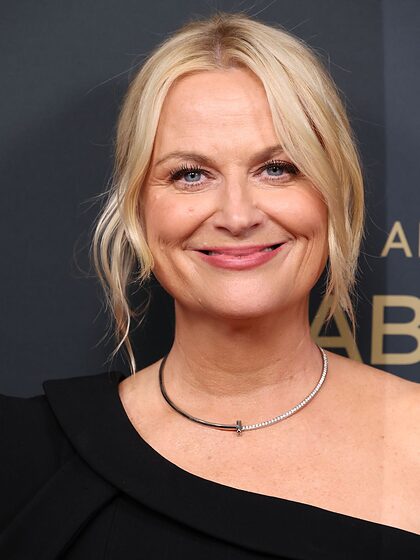 Amy Poehler nude photo #14