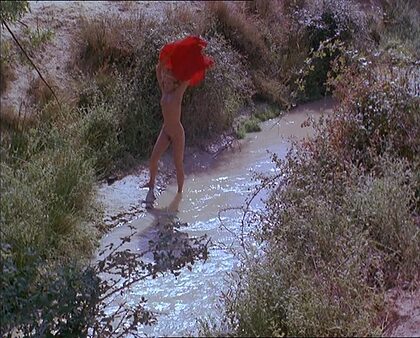 Ellen Barkin nude photo #17