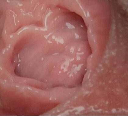 Invadernoodles nude photo #4