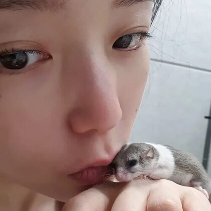 Jamonghae asmr nude photo #45
