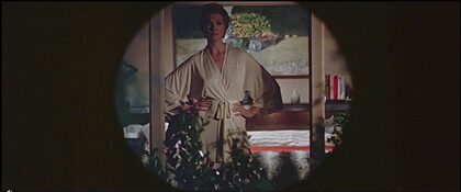 Julie Andrews nude photo #15