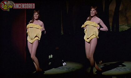 Julie Andrews nude photo #20