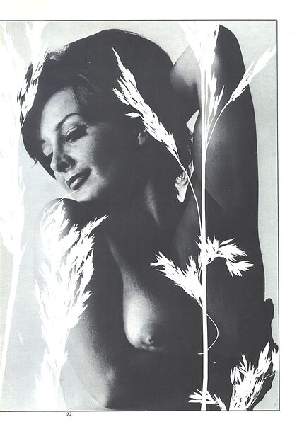 Laurie Sands nude photo #5