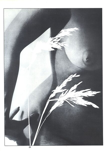 Laurie Sands nude photo #6