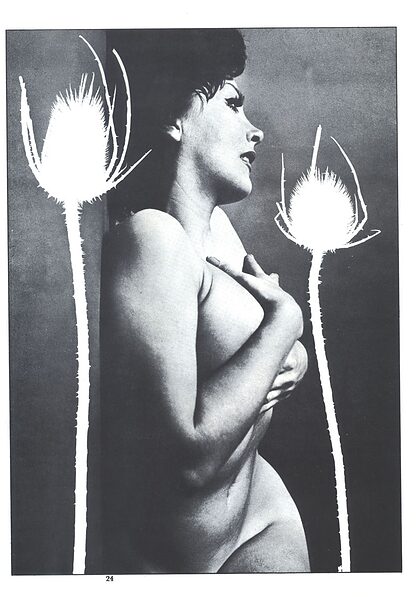 Laurie Sands nude photo #7