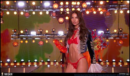 Lily Aldridge nude photo #4