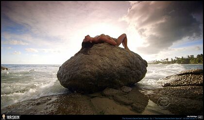 Lily Aldridge nude photo #9