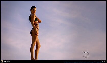 Lily Aldridge nude photo #12