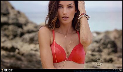 Lily Aldridge nude photo #15