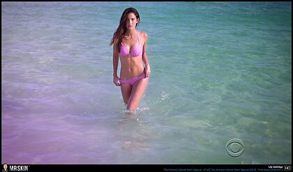 Lily Aldridge nude photo #16
