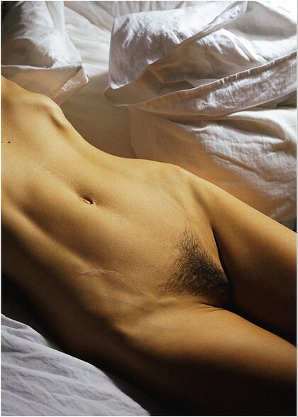 Lin Artica nude photo #9