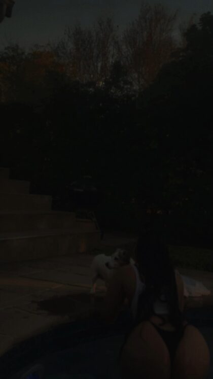 Nickey Collins nude photo #14