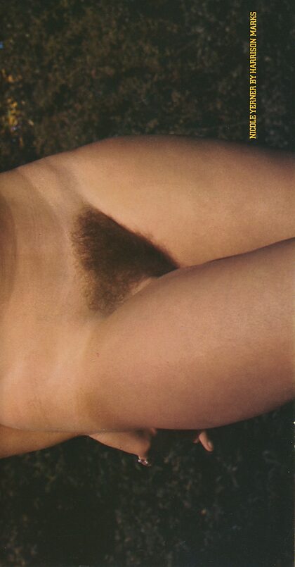 Nicole Yearne nude photo #13