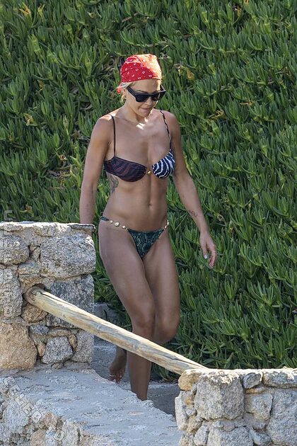 Rita Ora nude photo #360