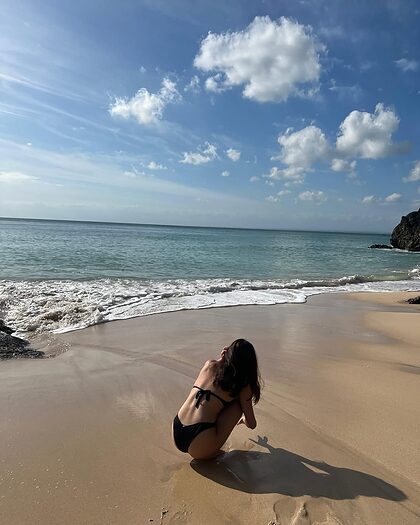 shabaee nude photo #7