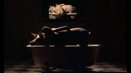 Toni Collette nude photo #41