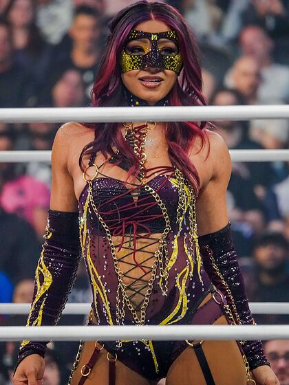 WWE nude photo #214