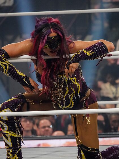 WWE nude photo #218
