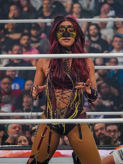 WWE nude photo #222