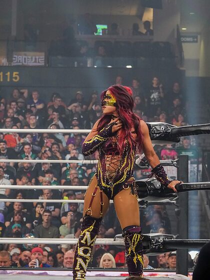 WWE nude photo #224