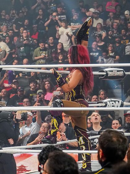 WWE nude photo #227