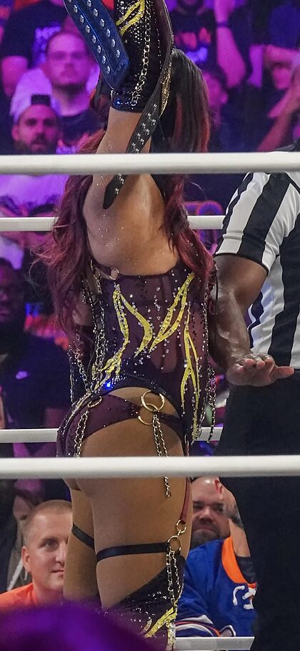 WWE nude photo #229