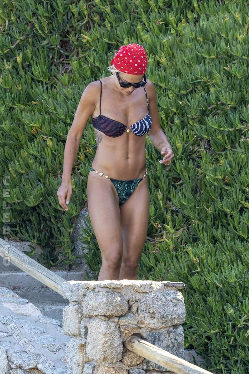 Rita Ora nude photo #359