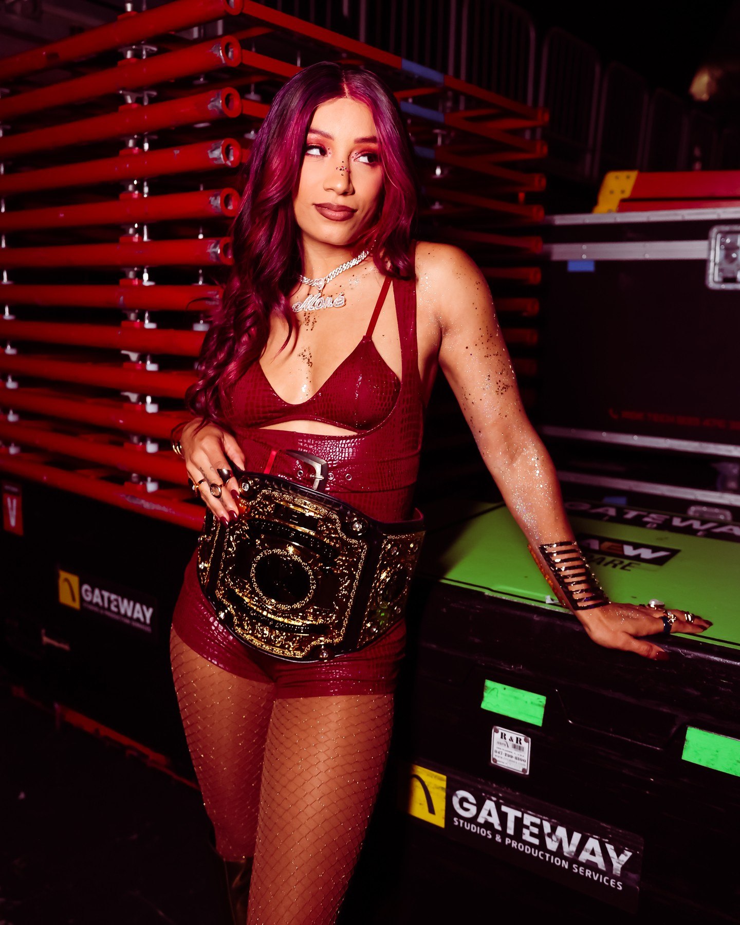 WWE nude photo #208