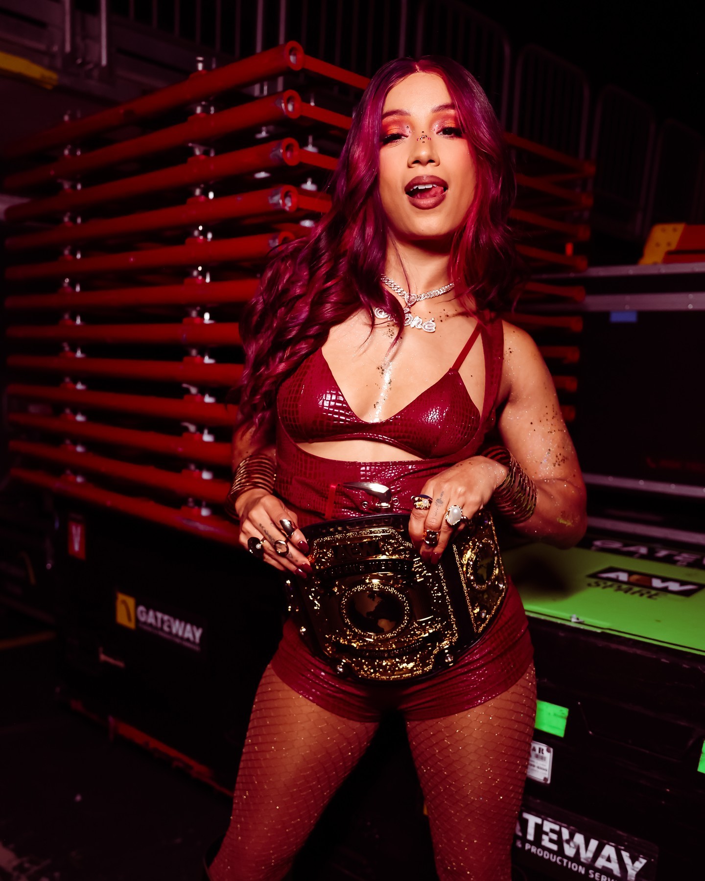 WWE nude photo #209