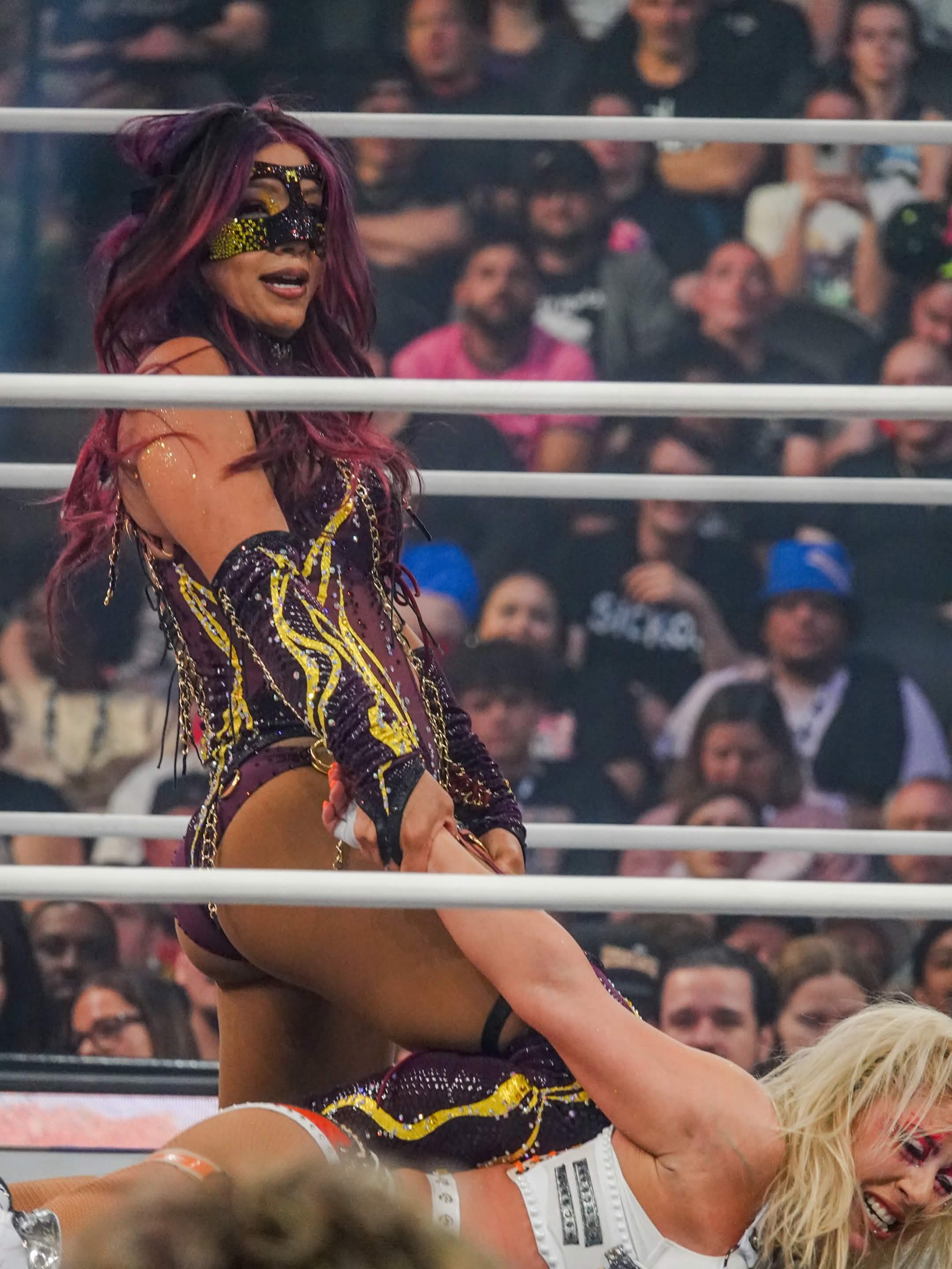 WWE nude photo #220
