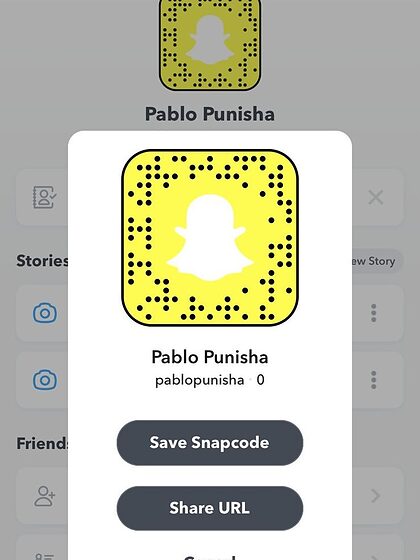 Pablo Punisha VI nude leaks