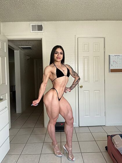 quadzilla_jas