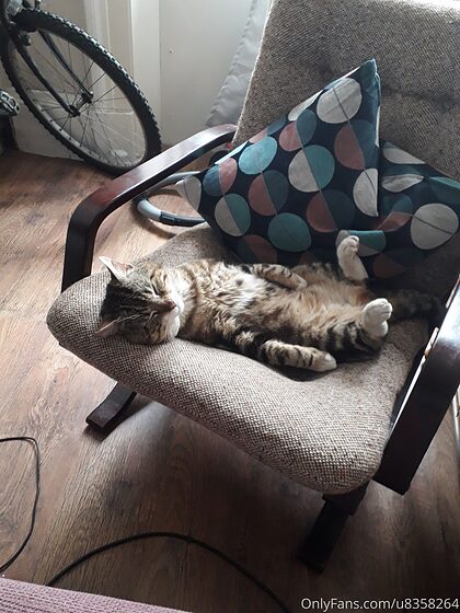 spiderdijon nude leaks