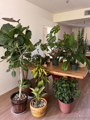 Aspen Gree / aspencgreenthumb nude photo #18