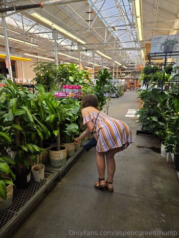 Aspen Gree / aspencgreenthumb nude photo #35