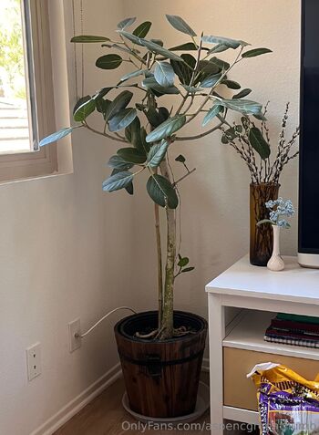 Aspen Gree / aspencgreenthumb nude photo #37