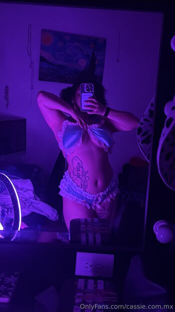 cassie.com.mx nude photo #16