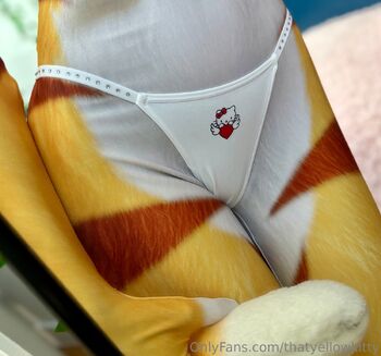 Kitty / thatyellowkitty nude photo #5