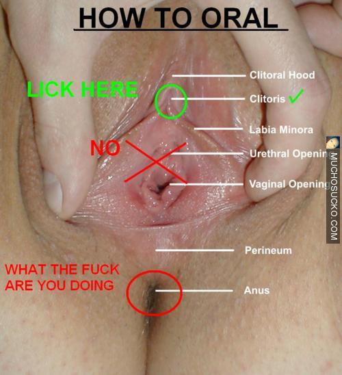 Correct way to eat pussy