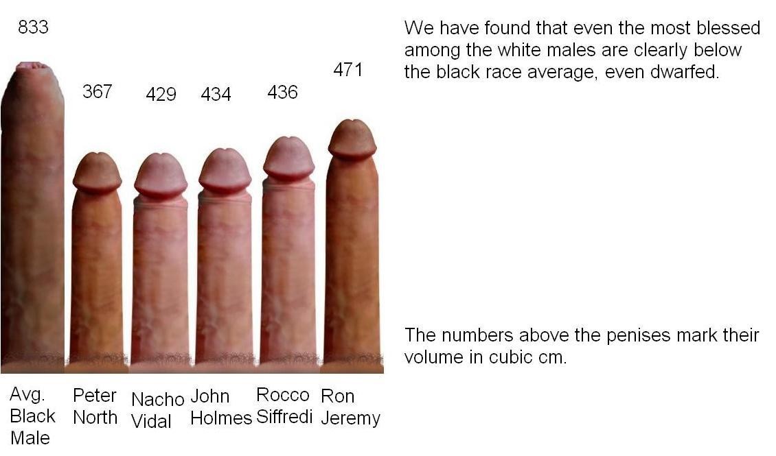Average Penis Porn - Whats the average size of a mans penis | TubeZZZ Porn Photos