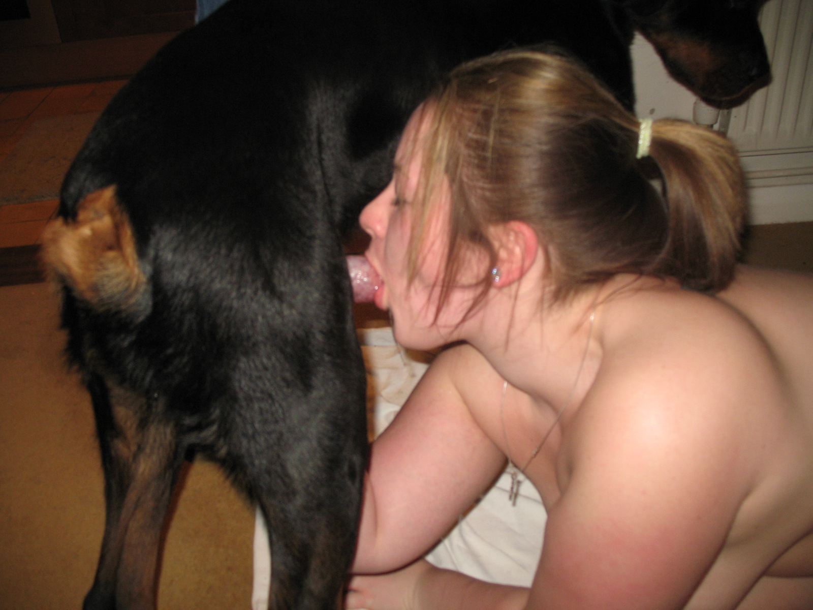 Women kissing dogs porn