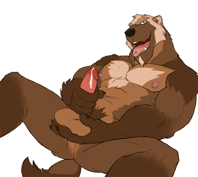 Furry Bear Sex - Furry gay bears | TubeZZZ Porn Photos