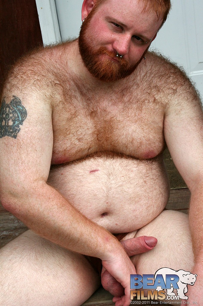 fat and hairy gay bear porn