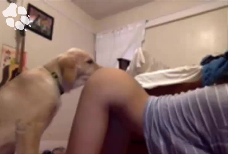 Dog Lick Teen - Dogs licking teen pussy | TubeZZZ Porn Photos