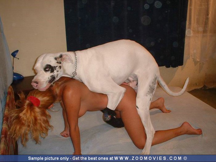 Zoo Girl Dog Sex Tumblr - I fuck a dog | TubeZZZ Porn Photos